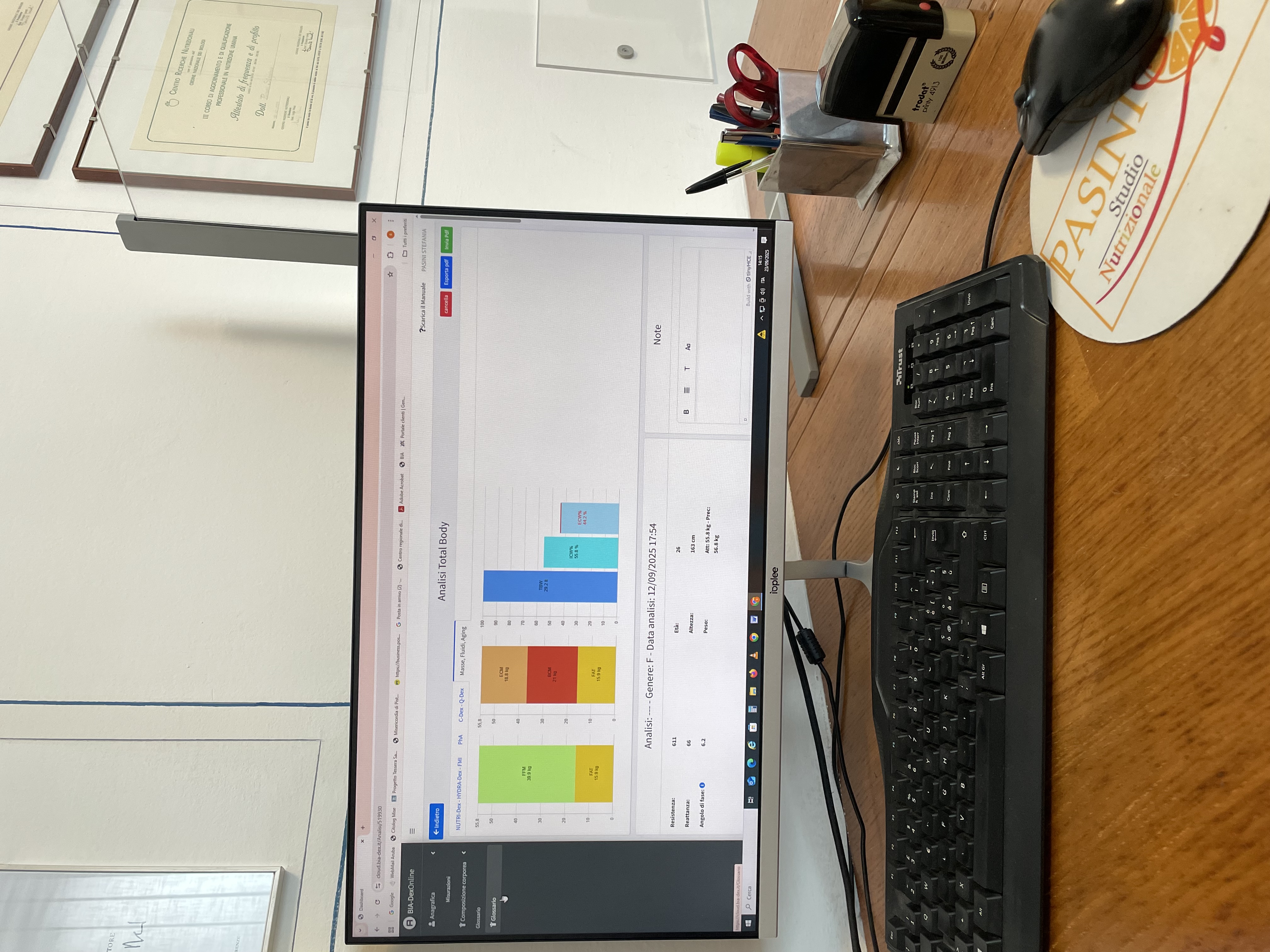 Consulenza al computer